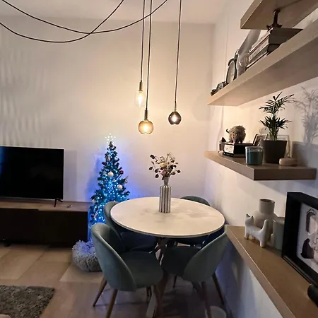 Kittens House *
